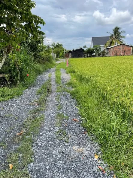 tọa lạc Đức Hòa Thượng Đức Hòa Long An ( Mỹ Hạnh Tây Ninh )