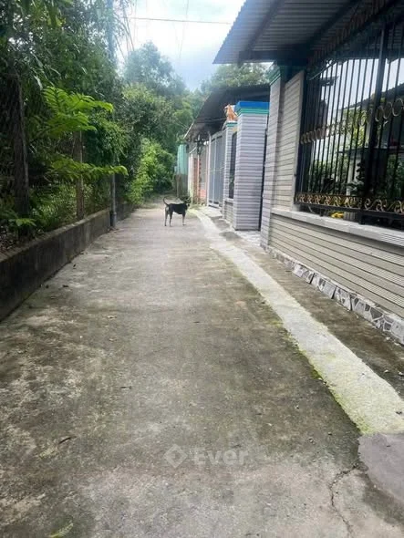 Bán đất phường Tân An, Thủ Dầu Một, Bình Dương