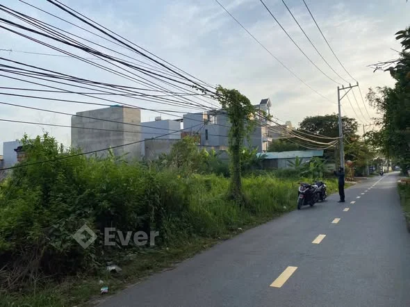 ️Đất nền rộng 2215 m² tại Đường 8, Phường Trường Thạnh, Thủ Đức, Hồ Chí Minh