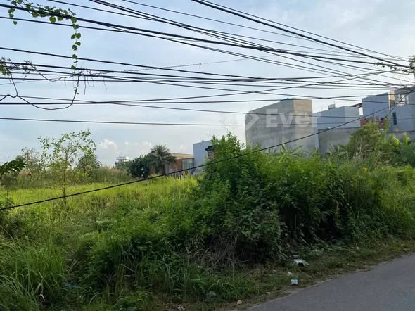 ️Đất nền rộng 2215 m² tại Đường 8, Phường Trường Thạnh, Thủ Đức, Hồ Chí Minh