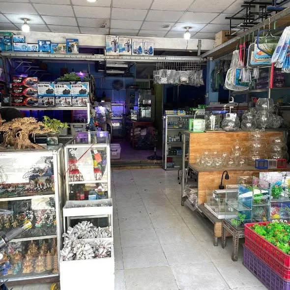 Phân khúc hiếm mặt tiền đặng văn bi Bình Thọ Thủ ĐứcBán đất tặng nhà 2 Tầng 109m2 xây mới