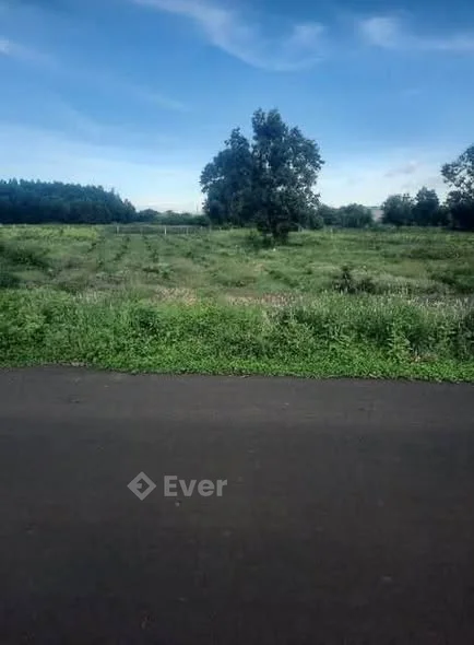 Long tân xã đất đỏ BRVT TPHCMBán lô đất 13,9×74