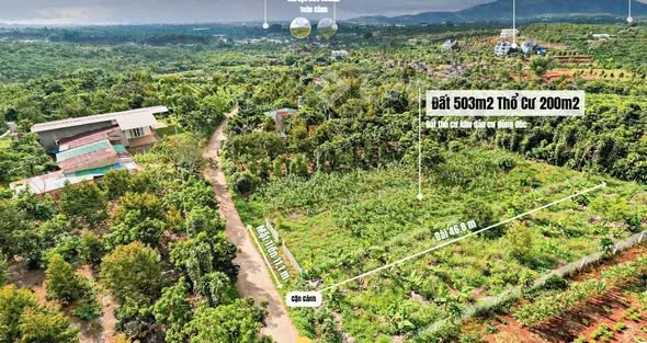 Ảnh bất động sản