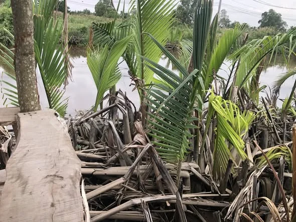 1 căn duy nhất Nhà vườn mái thái nghỉ dưỡng view sông lớn Bình Đức Bến Lức