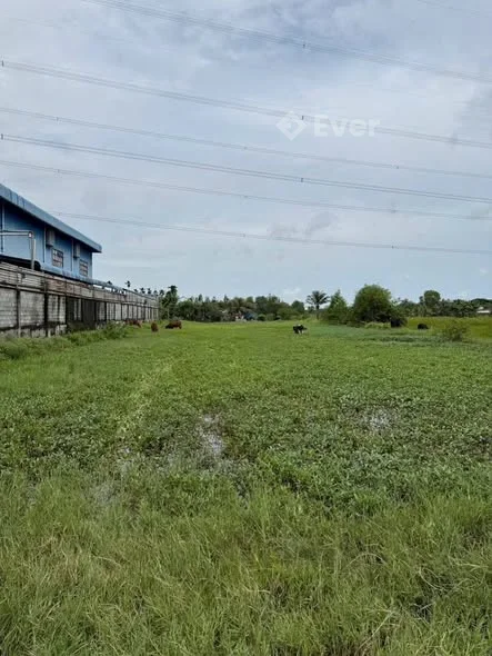 Chủ cần tiền giảm mạnh còn 7.6tỷ Đất MT đường xe tải, cách DT825 khoảng 300m