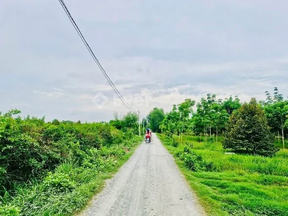 SIÊU LÔ GẦN KCN PHƯỚC ĐÔNG – 55x105M CÓ 1.400M² THỔ CƯ – CHỈ 6,5 TỶ TL