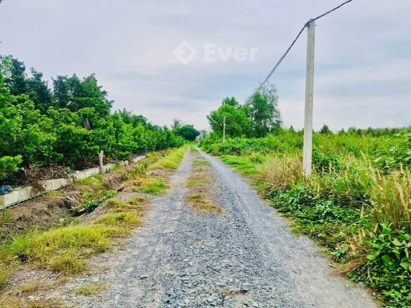 SIÊU LÔ GẦN KCN PHƯỚC ĐÔNG – 55x105M CÓ 1.400M² THỔ CƯ – CHỈ 6,5 TỶ TL