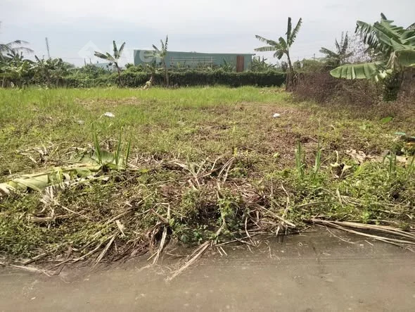 Đất thổ cư 5x21m (106m2) giá rẻ xã Bình Mỹ, H.Củ Chi.