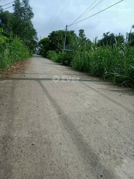 Chủ gởi: 5m x 32m đất thổ - mặt tiền đường bờ bênh 7 thước. Ở Vĩnh Công, Châu Thành, LA