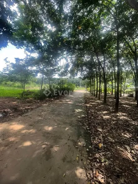 XÃ PHÚ LÝ - ĐỒNG NAICHỦ CẦN TIỀN GẤP NÊN HẠ GIÁ THÊM 1 TỶ