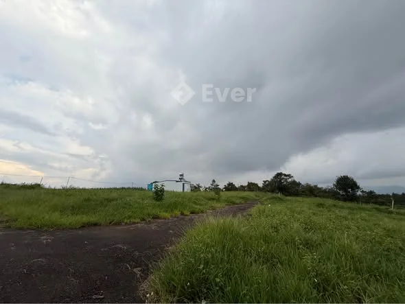 Nchu. Mua là lời. Lô đất rẻ nhất tại khu vực hẻm Nguyễn Trãi - phường 2. Thích hợp cho quí ac tài ch