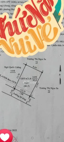 Đất Phú Hòa sẹc hẻm 269 nguyễn thị minh khai thông tứ hướng