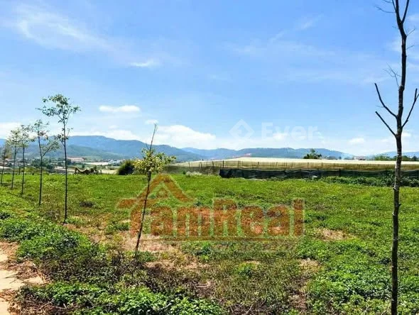 SỞ HỮU NGAY LÔ ĐẤT VEN ĐÀ LẠT CHỈ TỪ 900 TRIỆU! Tọa độ vàng” giữa Liên Khương – Đà Lạt – Nha Trang