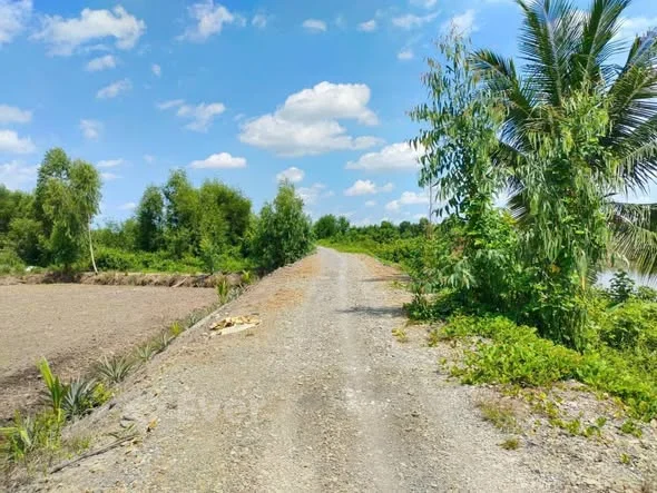 BÁN ĐẤT-THỦ THỪA LONG AN : 7,8 tỷ Mặt tiền dài 183m