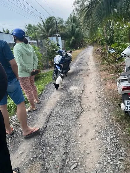 Ảnh bất động sản