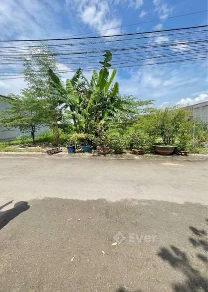 Chủ gửi lô đất đối diện chợ mới Trảng Bom, Đồng Nai