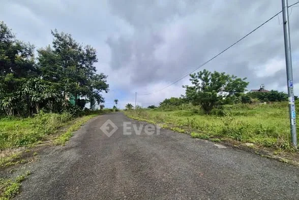 5x18, qhtc Hẻm Nguyễn Trãi Phường 2 Bảo Lộc giá siêu ngộp : 635 triệu ( giá chốt buông sổ )