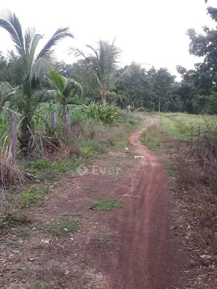 Lộc Tấn -Lộc Ninh- Bình Phước cũ giờ là Lộc Tân-Đồng Nai53.000m2 (