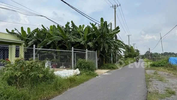 Cg! ĐẤT TÂN THÔNG HỘI, CỦ CHI. ~ DT: 10 × 40 có 200m² thổ cư. Mặt tiền đường Trần Quang Đạo. Giá bán