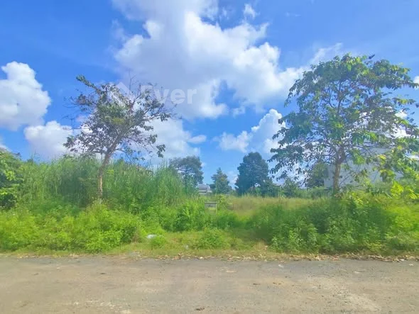 Bán Nền 100m² Giá Tốt -Ngang Trường Học Đang Xây - Đường B10 - KDC Tân Phú - P. Hưng Phú -TP Cần Thơ