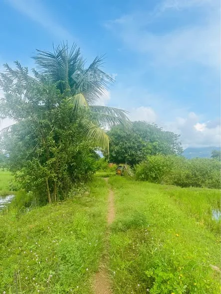 Ảnh bất động sản