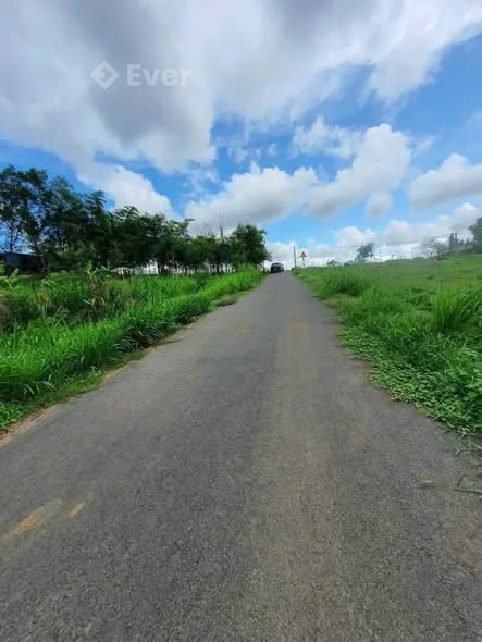 Chính chủ gửi: 5.827,6m2 Bao gồm 165m mặt tiền đường nhựa xe tải