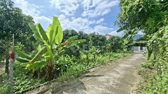 Đất vườn xoài full thổ xã Suối Tiên _Diện tích: 70m và 98,5m full thổ cư.