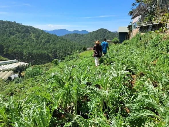 Ảnh bất động sản