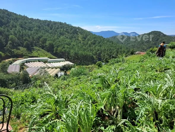 Ảnh bất động sản