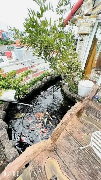 Ảnh bất động sản