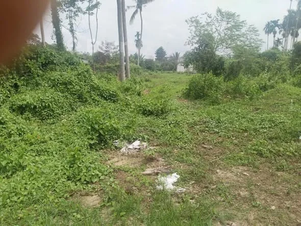 Đất Mặt tiền bờ suối, 1/ ngắn Nguyễn Thị rành.DT: 22 x 110 (2.743,1m²) có 41.2m² thổ cư