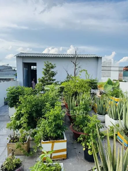 Ảnh bất động sản