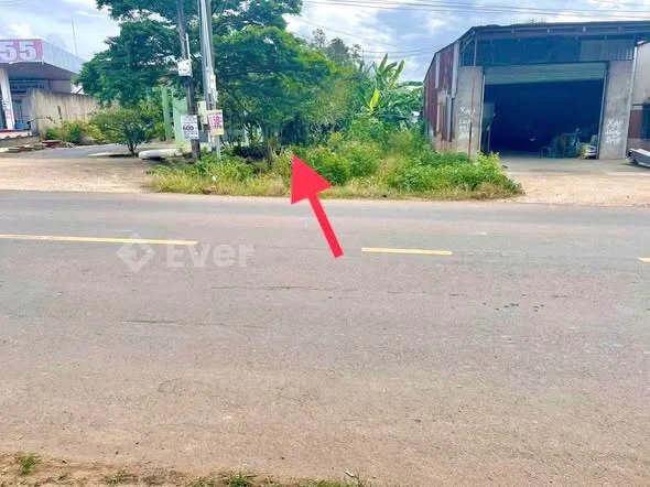 Cần bán lô đất ngay trung tâm Xã Đồi, An Viễn-Đồng Naian vi