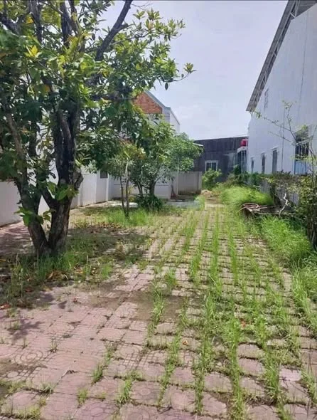 Chủ cần bán gấp căn nhà cấp 4 sân vườnDiện tích : 154m2 Nhà giá: 1ty120 triệu còn thương lượng