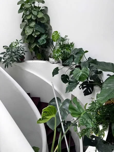 CĂN GÓC 2MT NGUYỄN KIỆM GIÁ 7,2 Tỷ