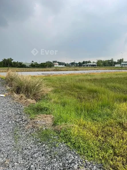 Cg cần bán 1600m2 có 289.9m2 thổ cư còn lại đất nông nghiệp ( kv lên thổ cư ) tọa lạc Đức Hòa