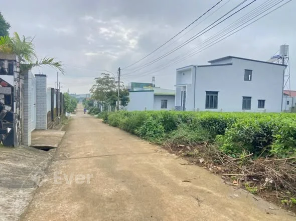 Hẻm Lê Phụng Hiểu Phường 3 Bảo Lộc 9x30m . có 100m² thổ cư.