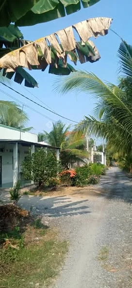 chính Chủ gửi bán lô đất vườn 1000m2 tại ấp 8,lương hòa,bến lức Long An