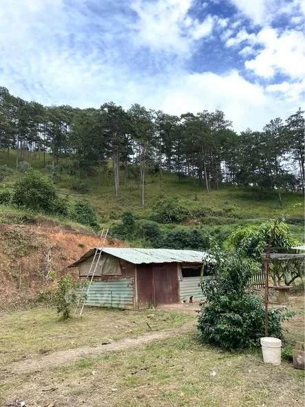 CHỦ NGỘP CẦN BÁN lô đất ở phường Xuân Trường - Đà Lạt ( xã xuân thọ cũ ) dt 1637m2