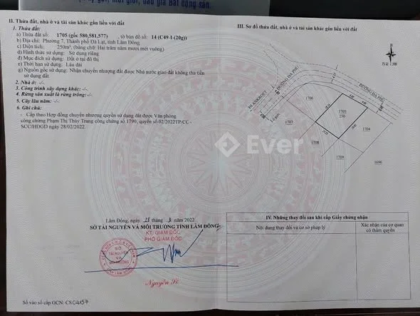 HẠ GIÁ SÂU – CHỈ CÒN 7 TỶ 5!Đất mặt tiền đường nhựa Đa Phú – P7 (cũ) – Đà Lạt, Lâm Đồng