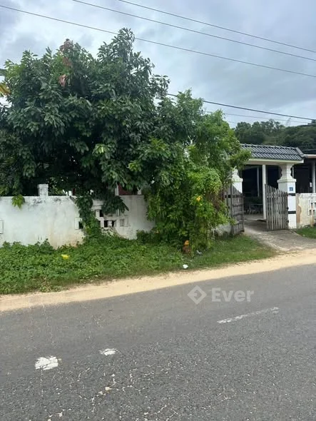 - Mình cần bán lô đất mặt tiền Lạc Long Quân đối diện NoVaworld Tiến Thành - Bình Thuận