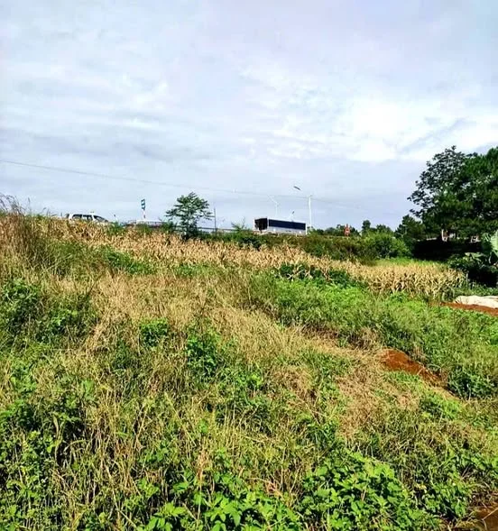 2 lô liền kề Lộc Nga đấu lưng trường lái xe bá thiên Phường Blao, Bảo Lộc