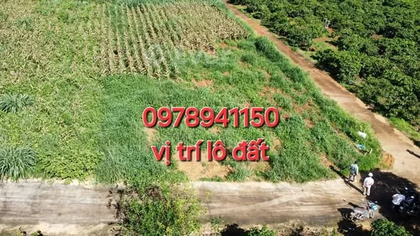 Đất thị trấn Nam Bab ven Đà Lạtđ.DT 500 m2 sẵn 200m xdLàvlô góc 2 mặt tiền giá 1ti 439tr