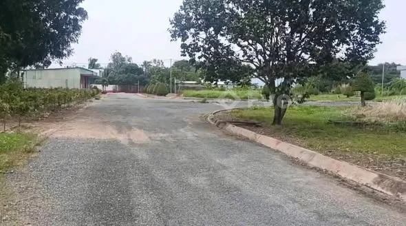 Phường Long An, tỉnh Tây NinhChính chủ gửi bán lô đất thuộc kdc Việt Hoá phường 6, TP Tân An