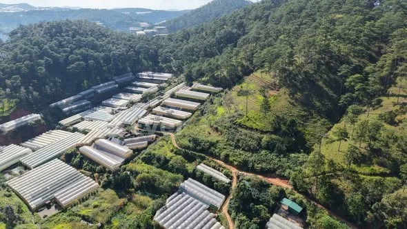 1000m2 600 triệu xã Xuân Thọ, Đà Lạt. Đất cách Đà Lạt 11,5 km, cách quốc lộ 20 3km,