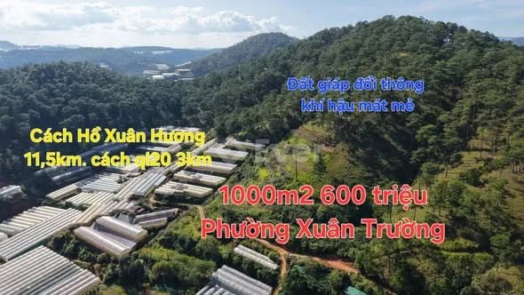 Ảnh bất động sản