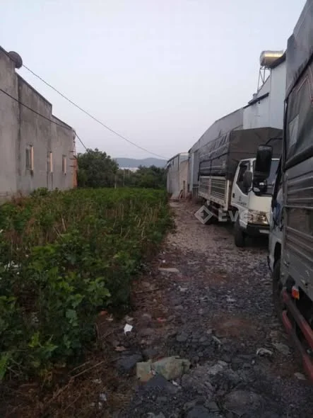 Ảnh bất động sản