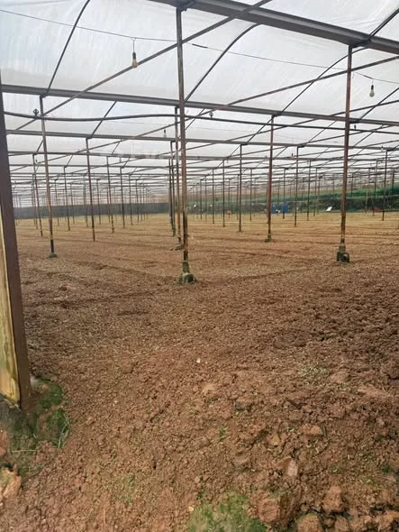 Một mảnh đất giữa Đà Lạt – dành cho người tìm nơi sống chậm và an trú