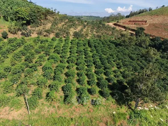 Ảnh bất động sản