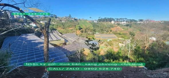 BÁN 473m2 Đất Mặt Đường Nhựa Phường Xuân Trường Đà LạtCách Trung Tâm Tp Đà Lạt